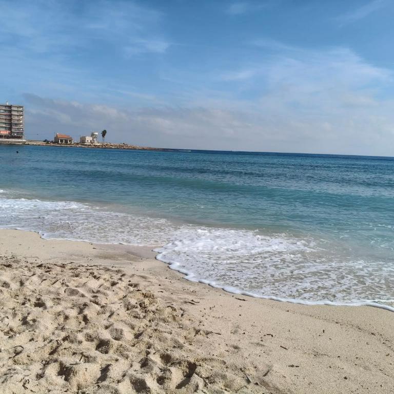 Relax Appartamento in prima linea della Spiaggia - Apartamento de 1 dormitorio - 65