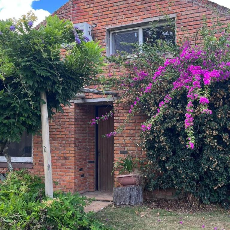 Casa de campo en Punta Ballena - Casa de 3 dormitorios - 2