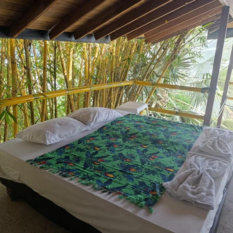 Cabaña Pura Vida - Habitación Familiar - 2