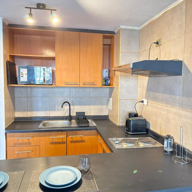 Moderno y amplio dpto en Av Portugal, Santiago - One-Bedroom Apartment - 5