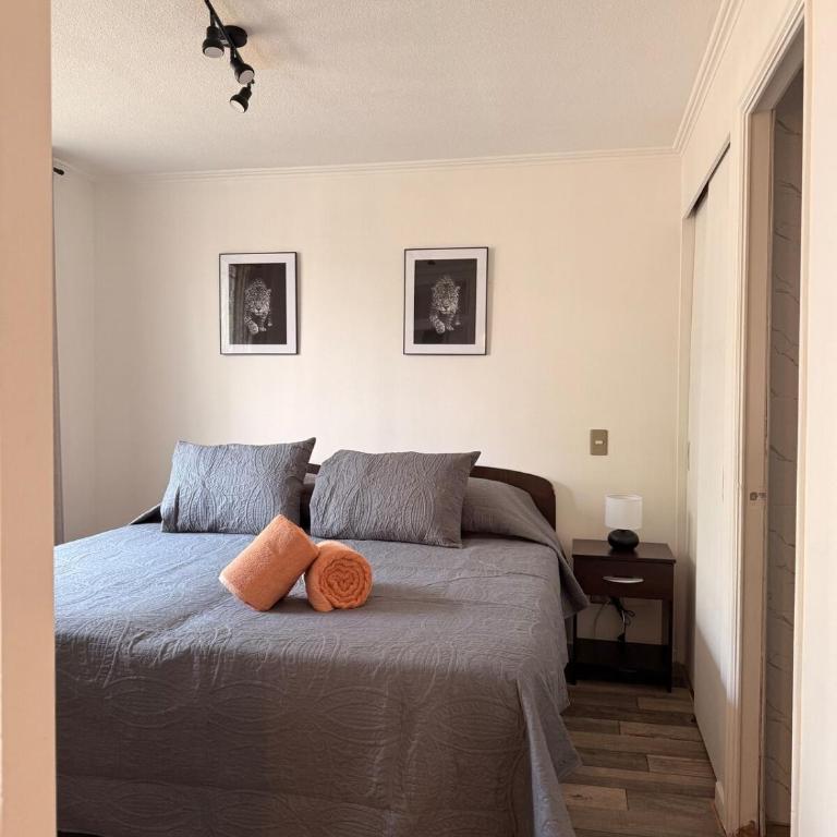 Moderno y amplio dpto en Av Portugal, Santiago - One-Bedroom Apartment - 1