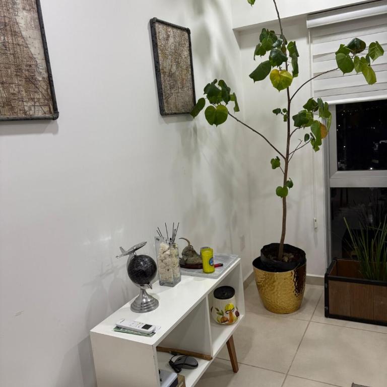 Apartmento Milan - Apartamento de 2 dormitorios - 2