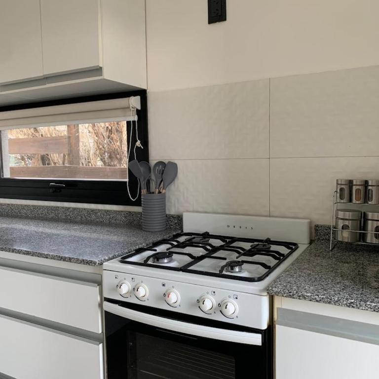 Aparts Del Lago - Apart 2 - Apartamento de 2 dormitorios - 11