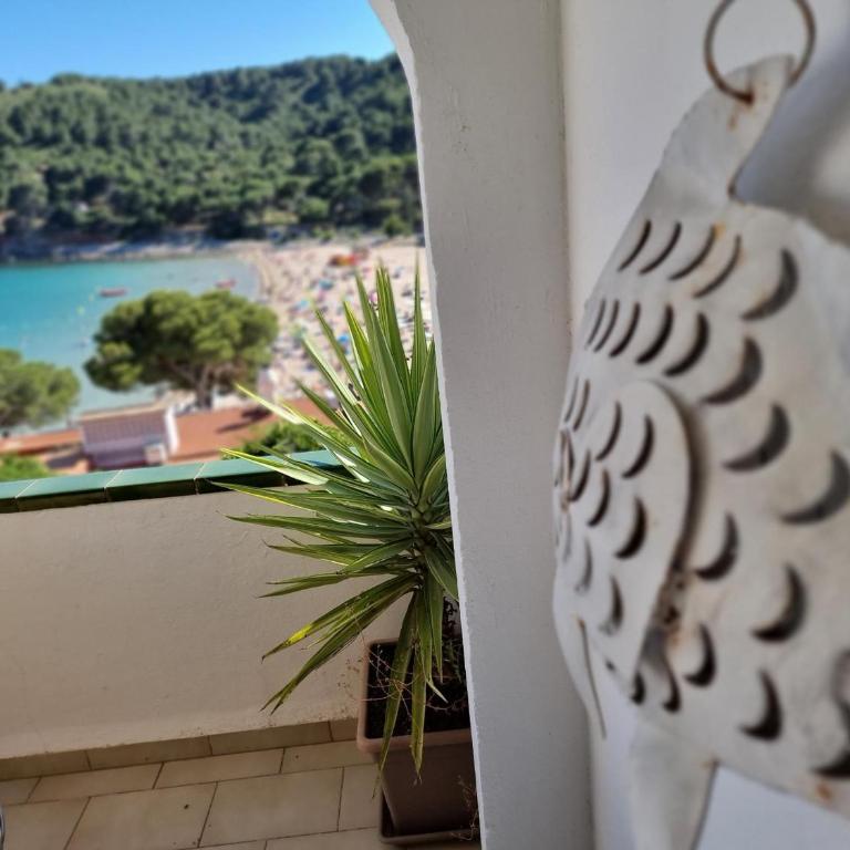 Encantador apartamento a 50m de Cala Montgó con 2 dormitorios y parking privado en L'Escala - HISP-236-173 - Appartement - 22