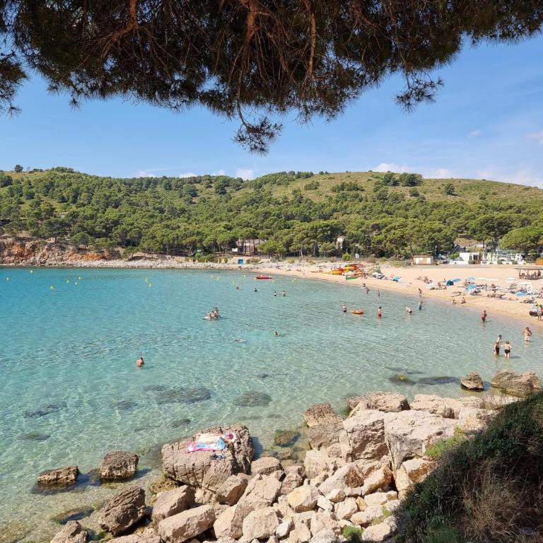 Encantador apartamento a 50m de Cala Montgó con 2 dormitorios y parking privado en L'Escala - HISP-236-173 - Appartement - 25