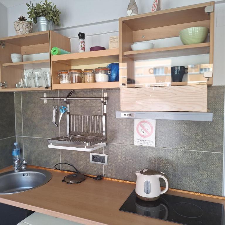 Novi Sad Centar 6B - Apartman sa 1 Spavaćom Sobom - 9