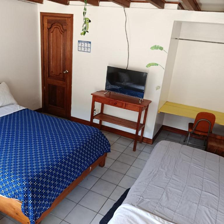 El Colibrí - Double Room - 3