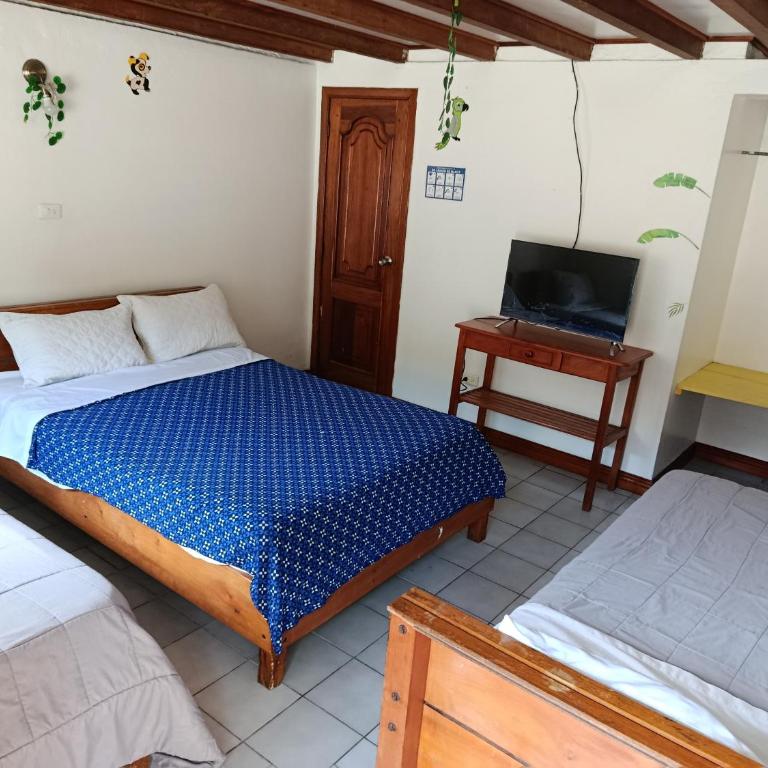 El Colibrí - Double Room - 4