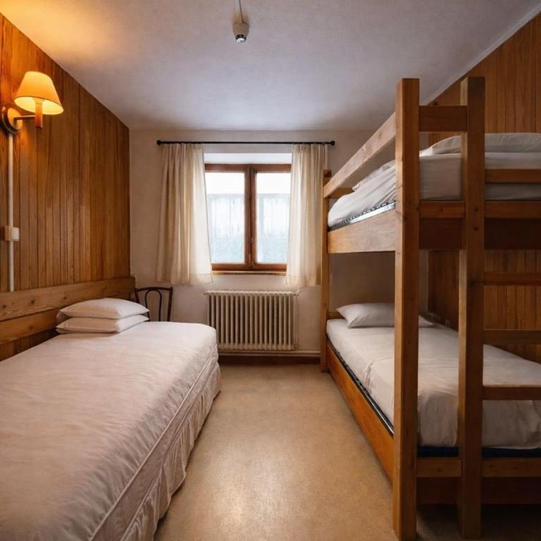 Splendid ski-in,ski-out historical chalet! - Chalet - 9