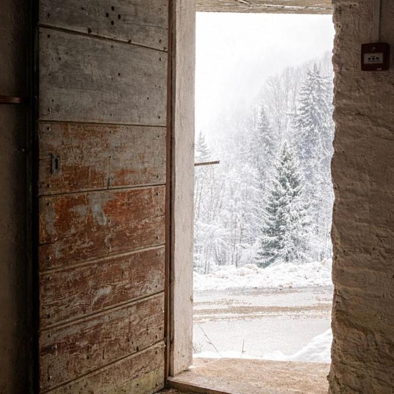 Splendid ski-in,ski-out historical chalet! - Chalet - 15