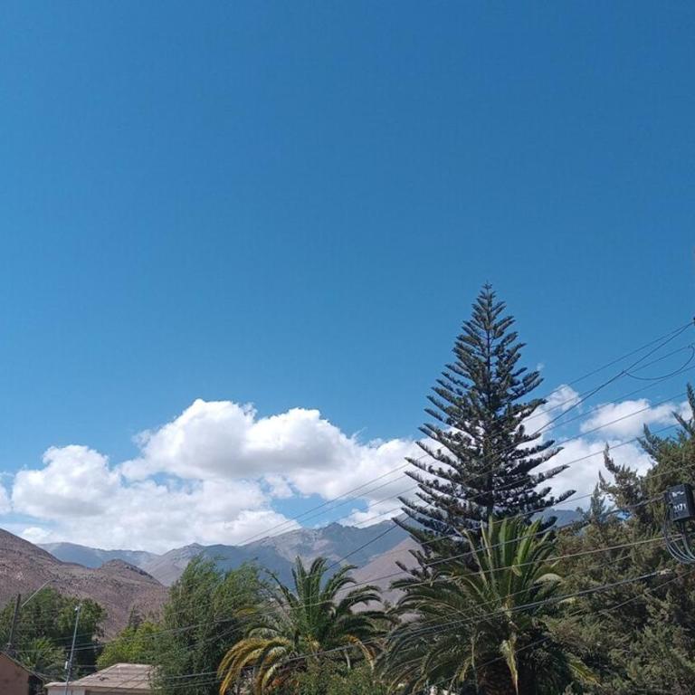 Tree house in the Elqui Valley - Room #1584004701 - 3
