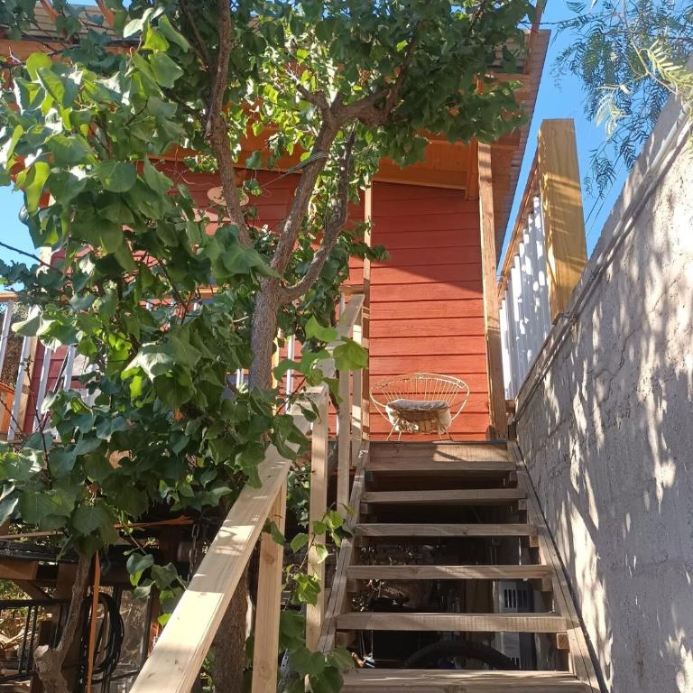 Tree house in the Elqui Valley - Room #1584004701 - 14