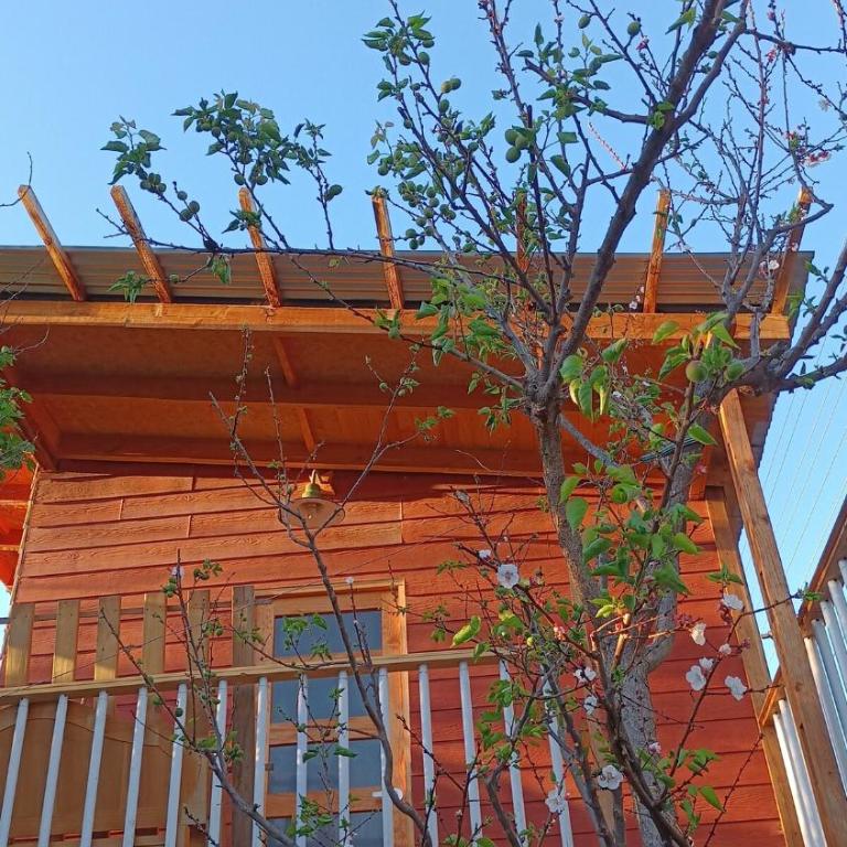 Tree house in the Elqui Valley - Room #1584004701 - 1