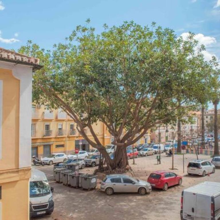 Málaga Historic Centre Escape REMS - Apartamento de 3 dormitorios - 43
