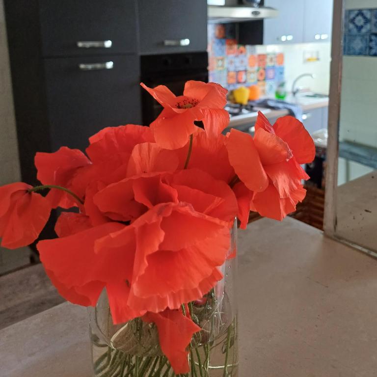 Simohouse Lecce - Executive Suite Apartment 140mq - 2 Bathrooms - Appartamento con 2 Camere da Letto - 20