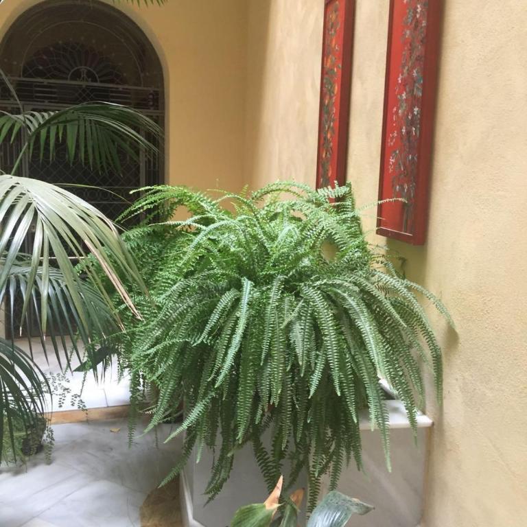 Aparturistic ático Plaza del Museo - Apartamento de 1 dormitorio - 23
