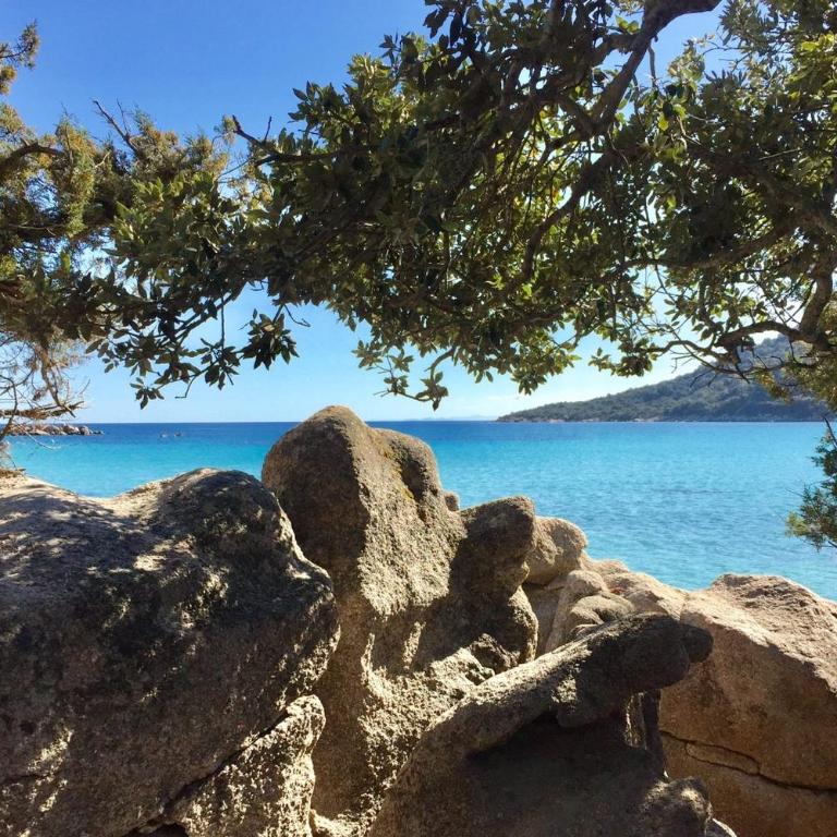 Charming Duplex In Porto Vecchio - Ferienhaus - 12