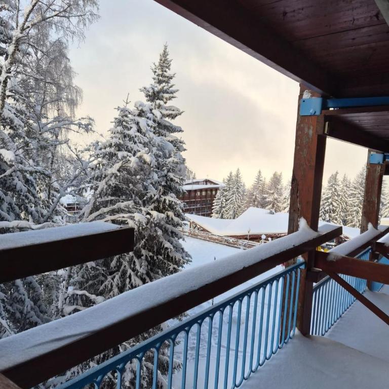 Arcs 1800 center Le Charvet skis aux pieds on your feet - Appartement 1 Chambre - 1
