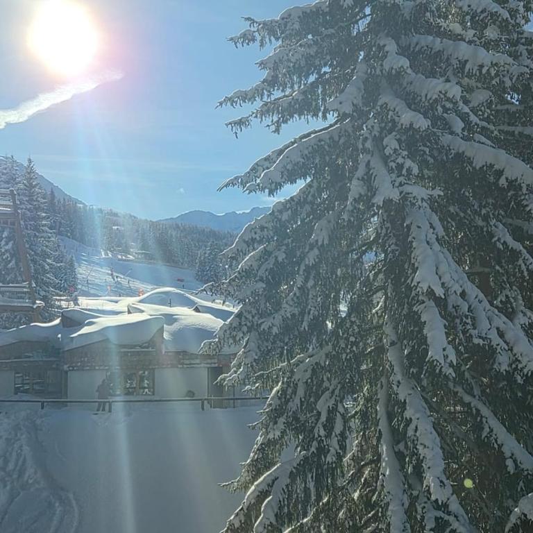 Arcs 1800 center Le Charvet skis aux pieds on your feet - Appartement 1 Chambre - 4