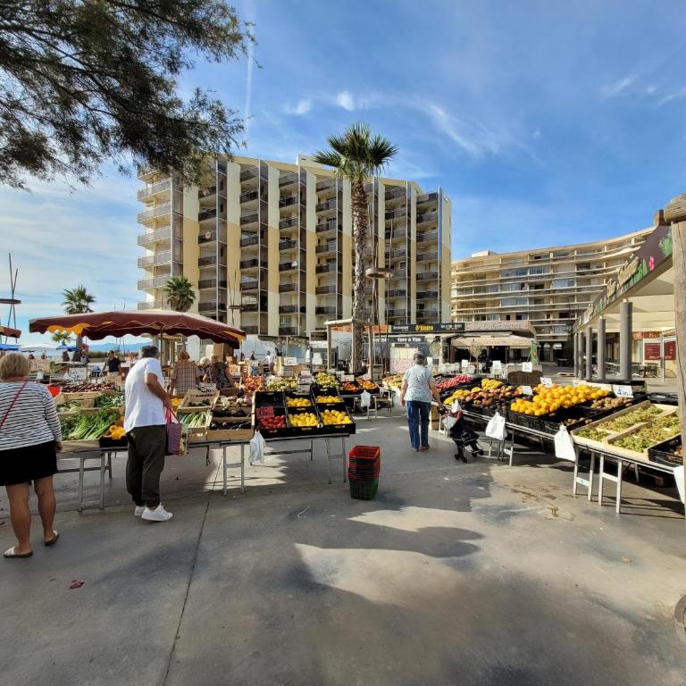 Canet-en-Roussillon T2 Pieds dans l'Eau avec Parking - Idéal 4 Pers - FR-1-794-173 - Apartment - 14