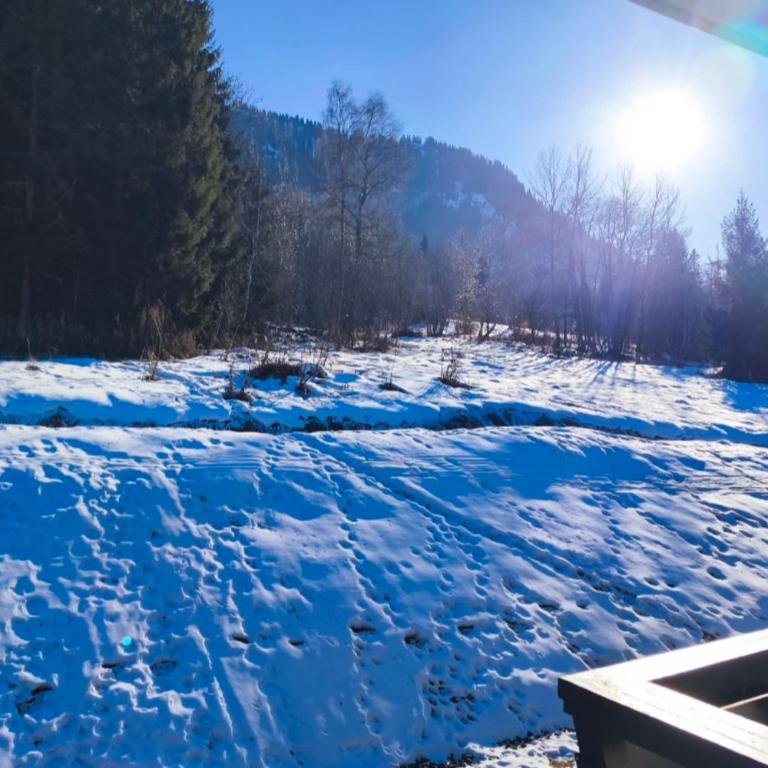 Stay Mountain with View and Optimal Comfort - Apartamento - 3