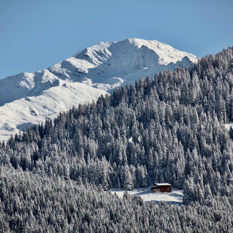 New renovated apartment in center of Davos - Apartment mit Blick auf die Berge - 3
