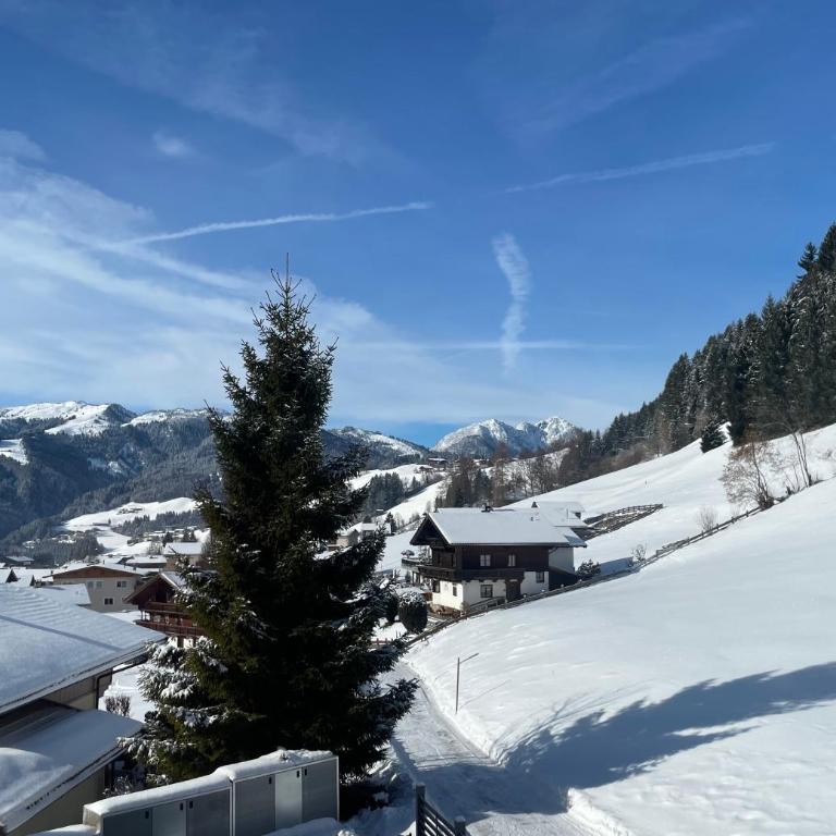 Panorama Nest - PREMIUM CARD im Sommer - Apartment mit 2 Schlafzimmern - 3