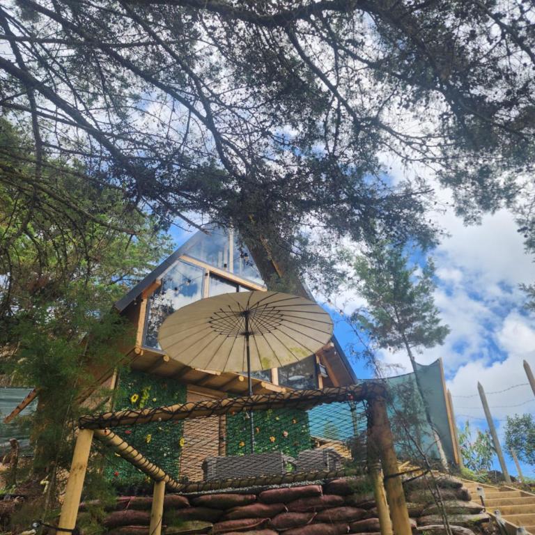 Aguapá Glamping - One-Bedroom Apartment - 14
