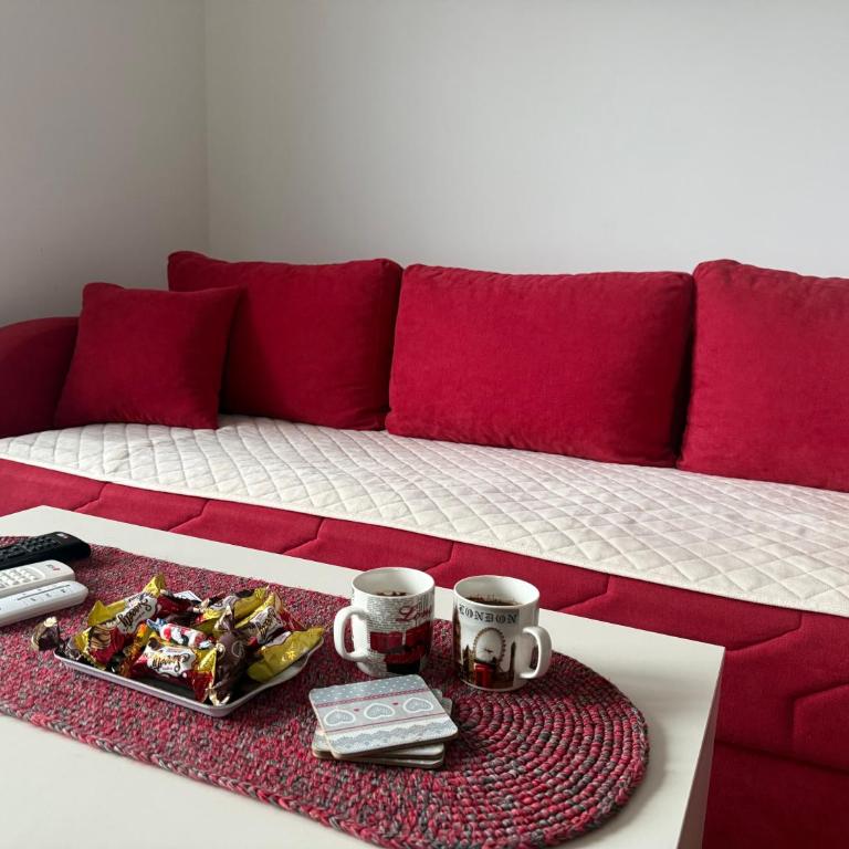Apartman Petra Sokobanja - Apartman sa 1 Spavaćom Sobom - 7