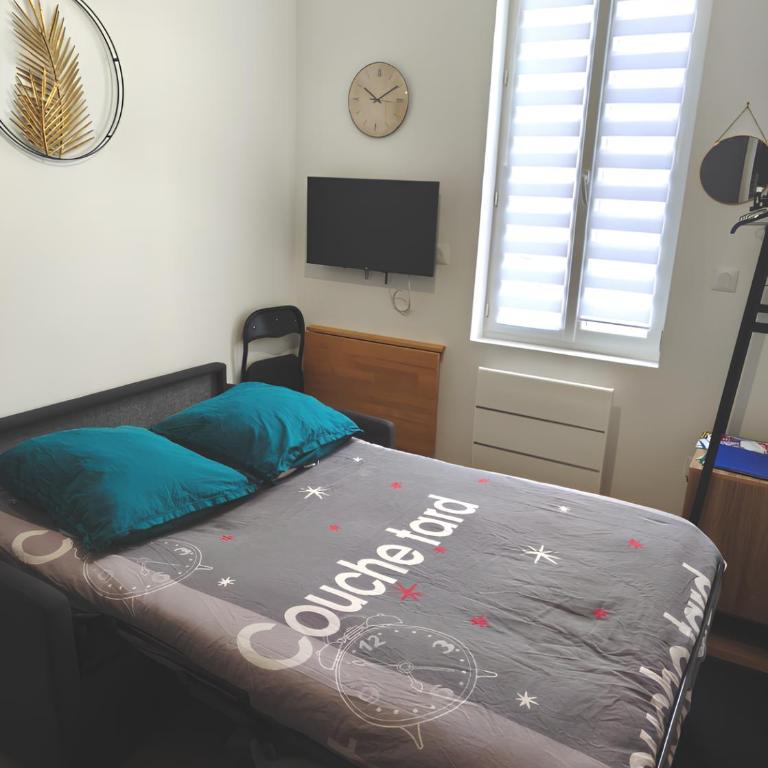 Studio agréable, stationnement gratuit, quartier Anglais - Apartment mit 1 Schlafzimmer - 2