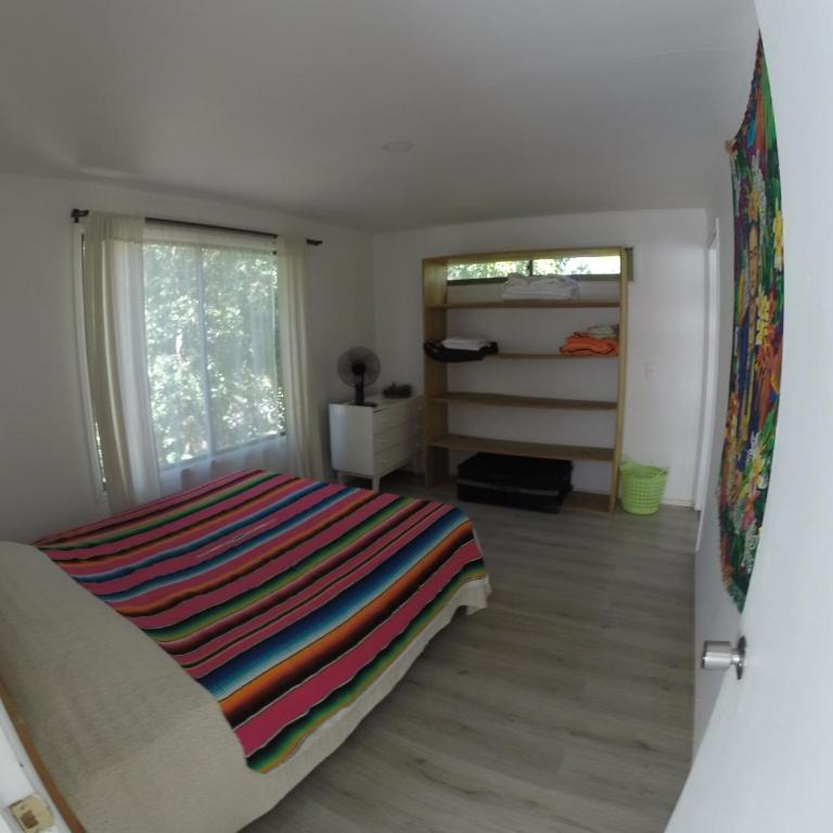 Piuwkenyeyu - One-Bedroom Apartment - 13
