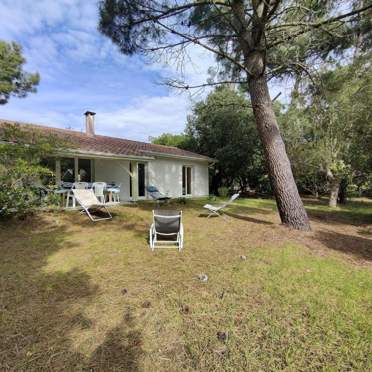 Villa avec jardin clos à Lège-Cap-Ferret, 3 chambres, proche plages - FR-1-736-56 - Villa - 2
