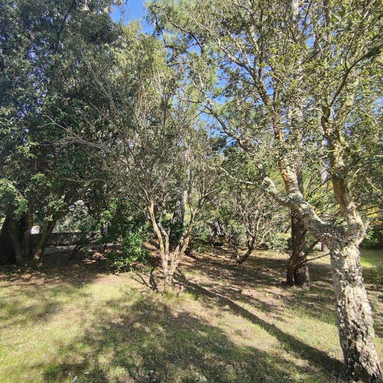 Villa avec jardin clos à Lège-Cap-Ferret, 3 chambres, proche plages - FR-1-736-56 - Villa - 4