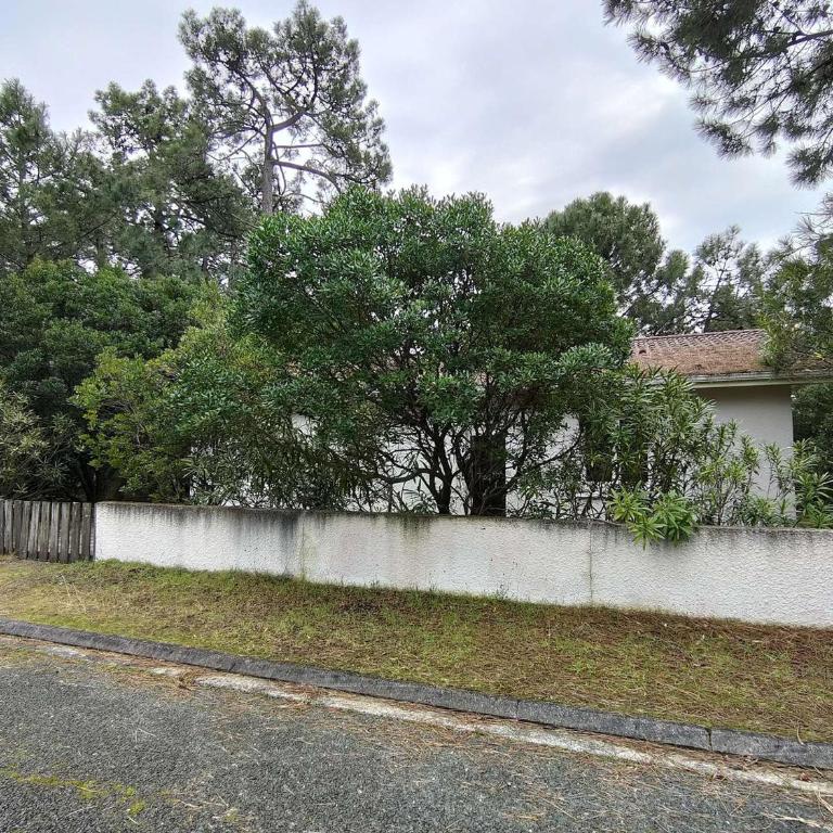 Villa avec jardin clos à Lège-Cap-Ferret, 3 chambres, proche plages - FR-1-736-56 - Villa - 13