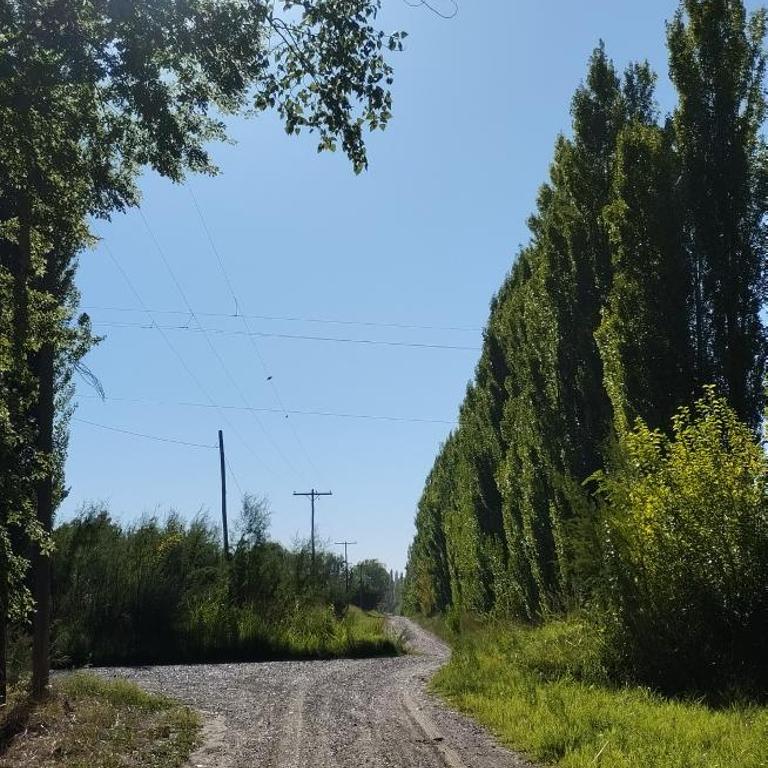 La Chacrita de Río Colorado - One-Bedroom Apartment - 5