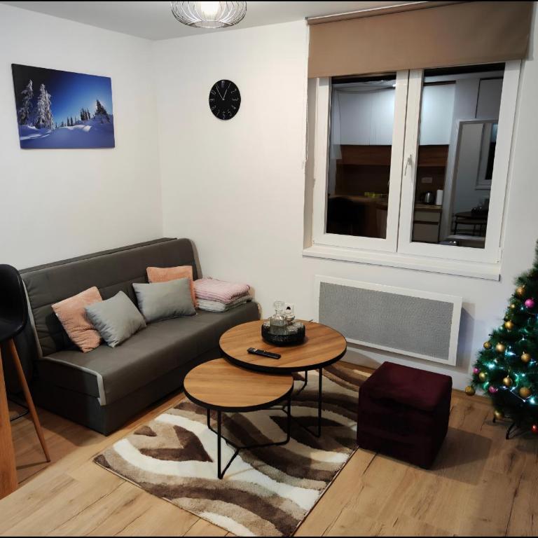 Apartman 'Winterfell' Jahorina - Apartman sa 1 Spavaćom Sobom - 9