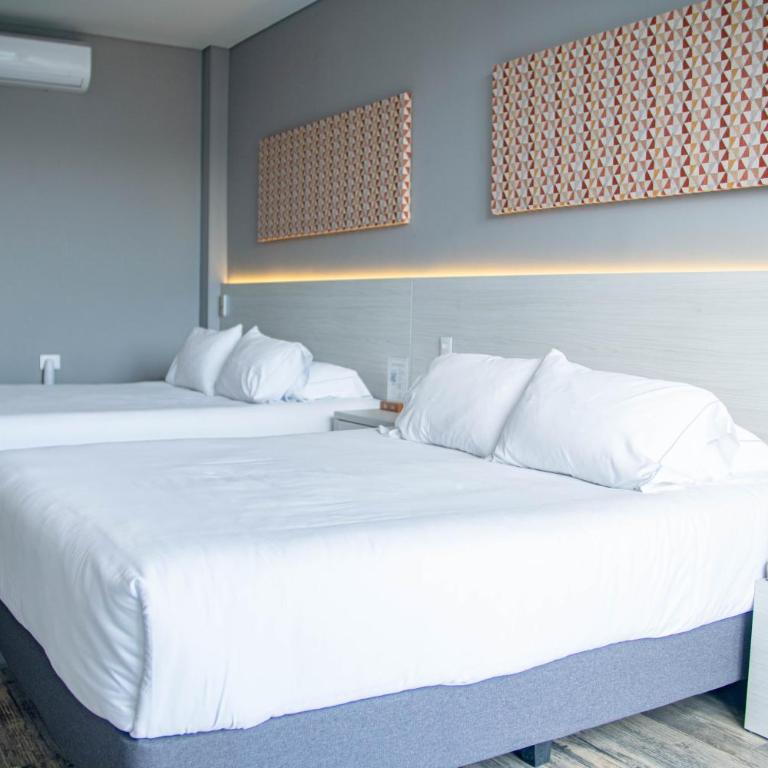 Hotel PAUCHÉ Topiario Zapatoca - Suite Junior - 2