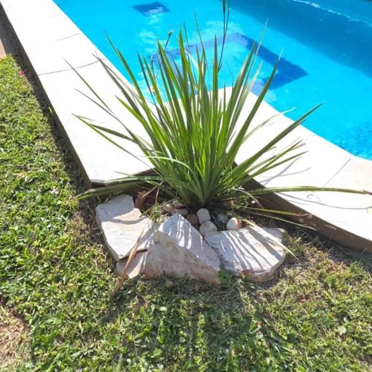 Alojamiento Patio Tejada para 2 Piscina y parrilla - Room #1584242601 - 1