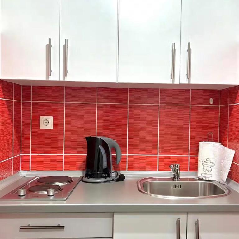 Central Apartments HOME - One-Bedroom Apartment - 2