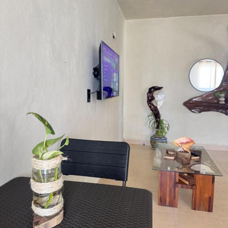 Casa Roca II - One-Bedroom Apartment - 49