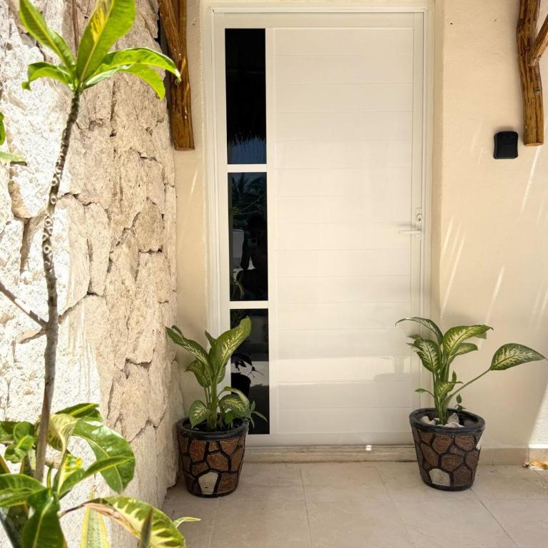 Casa Roca II - One-Bedroom Apartment - 11