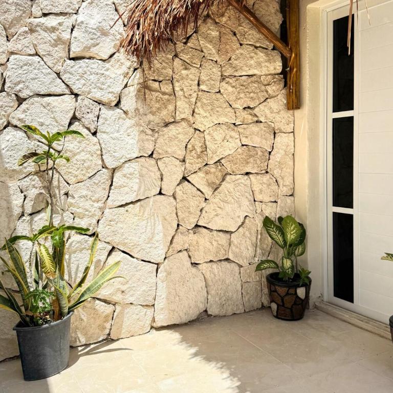 Casa Roca II - One-Bedroom Apartment - 25