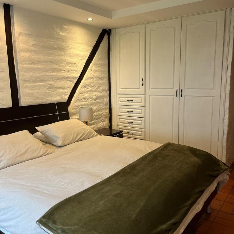 Inca Haus Modern Apartment with Garden Access - One-Bedroom Apartment - 4