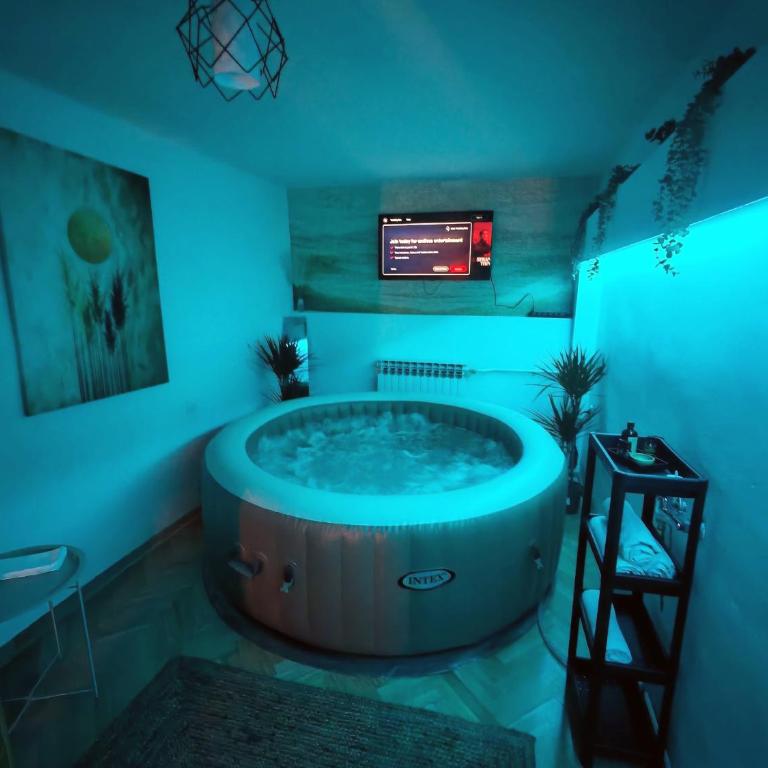 Vozdovac private spa ELITE1 besplatan parking - Apartman sa 2 Spavaće Sobe - 8