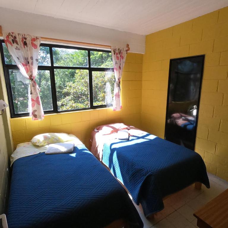 Casa Xitla - Double Room - 7