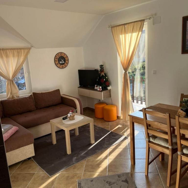 Apartmani Rajić, Tara - Apartman s 1 Spavaćom Sobom i Terasom - 1