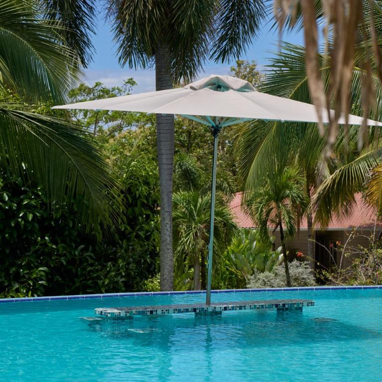 Tropical Luxury Experience in Los Mangos! - Room #1584335501 - 11
