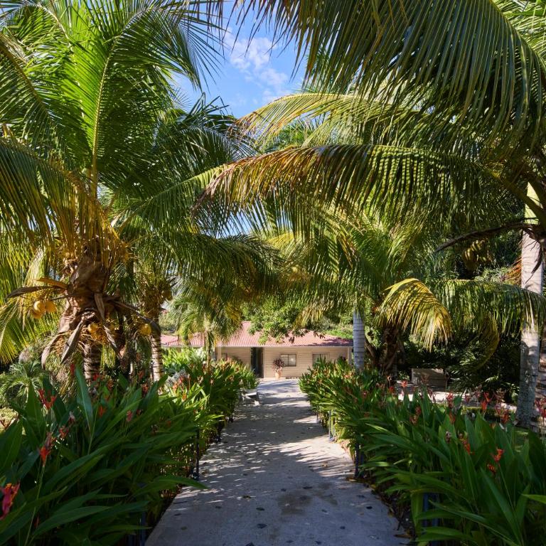 Tropical Luxury Experience in Los Mangos! - Room #1584335501 - 13