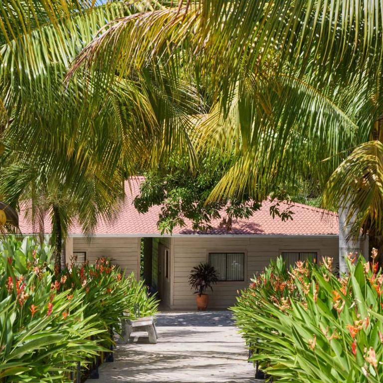 Tropical Luxury Experience in Los Mangos! - Room #1584335501 - 20