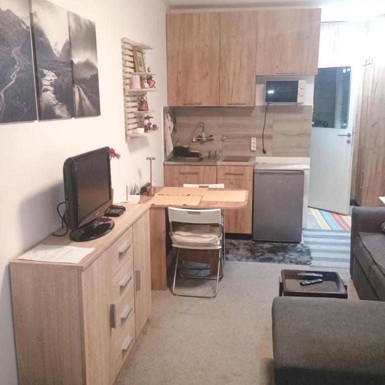 River Sava apartman - Apartman sa 1 Spavaćom Sobom - 1